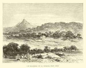 La hacienda de La Lechuza, la Chouette - Edouard Riou